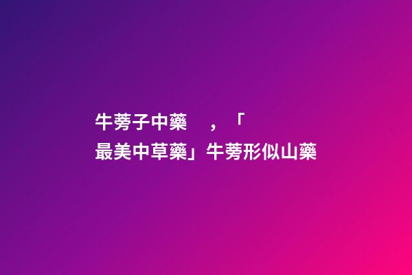 牛蒡子中藥，「最美中草藥」牛蒡形似山藥-第1張-觀點(diǎn)-玄機(jī)派